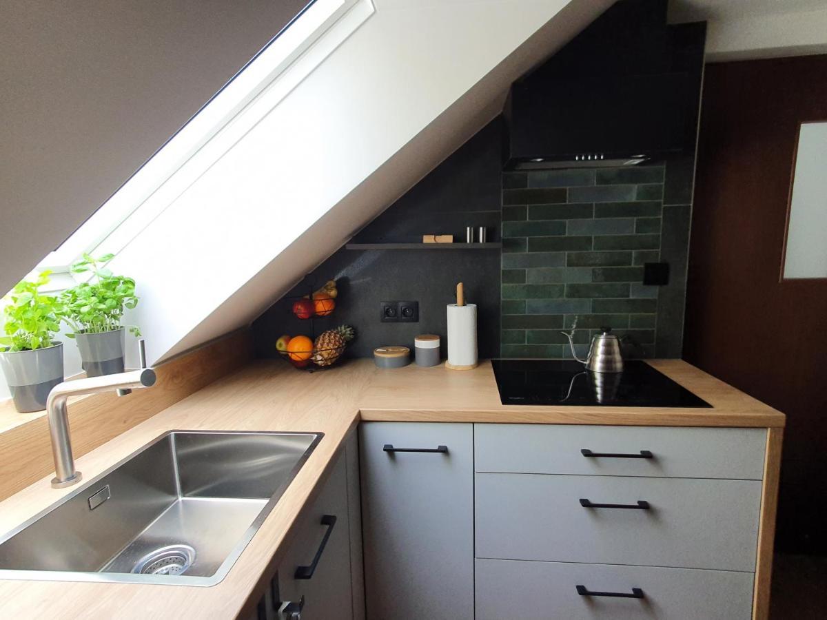 צ'שין Apartamenty Magiczna Wenecja מראה חיצוני תמונה