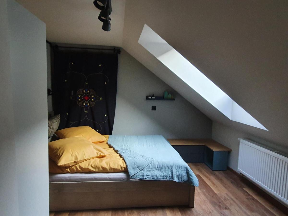 צ'שין Apartamenty Magiczna Wenecja מראה חיצוני תמונה